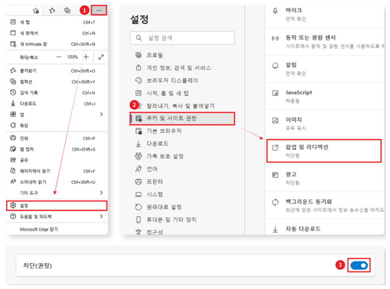 Microsoft Edge 브라우저 설정 캡쳐