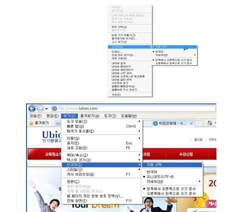 IE 인코딩 설정 캡처이미지
